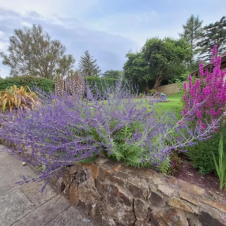 Tullydish Homestay szállás *