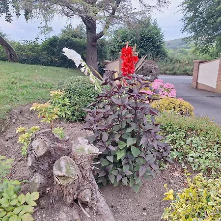 Tullydish Homestay szállás *