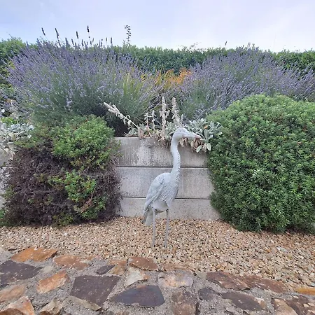 Tullydish Homestay szállás Kilmacanoge